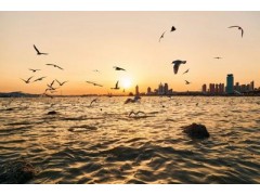 中西合璧助卵巢癌患者获新生