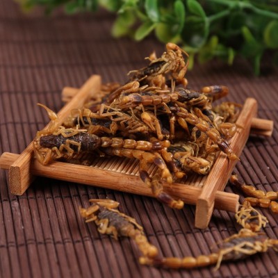 蝎子干蝎子全虫全蝎现货批发无盐蝎子清水蝎子全蝎量大从优