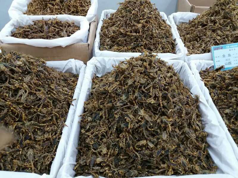 微信图片_20180818194944