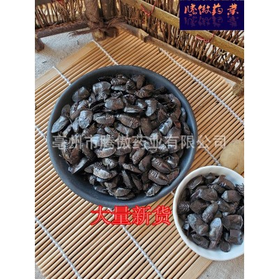 正品大九香虫中药材九香虫干九香虫黑兜虫瓜黑蝽屁板虫屁巴虫包邮