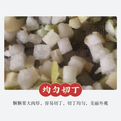 散装低温烘干雪梨丁雪梨干 泡水泡茶即食水果茶丁煲汤香梨丁片