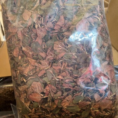 金线莲批发红霞整株无碎金线莲茶金线莲干品量大从优新鲜金线莲