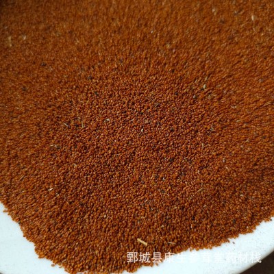 葶苈子 中药材批发供应听力子 大货供应 质优价廉