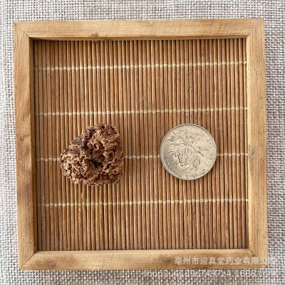 虫瘿果木天蓼猫人参果木天蓼果大号虫瘿拉菲草逗猫果猫咪玩具原料