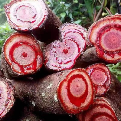 中药材鸡血藤大血藤泡茶泡水泡酒料批发鸡血藤药材代发大货