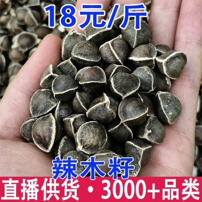辣木籽大货批发产地直供人工挑选正宗原产地印度黑籽非洲籽各规格