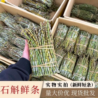 新鲜铁皮石斛鲜条散装现货500g整箱基地现采现发多规量大价优