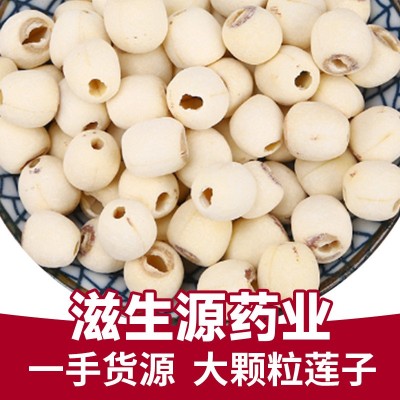 莲子批发零售500g源头工厂量大价优湖南湘莲 无芯磨皮莲子包邮
