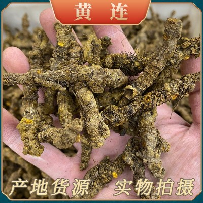 中药材批发四川石柱黄连片新货 产地货源鸡爪连 单只连500g黄莲