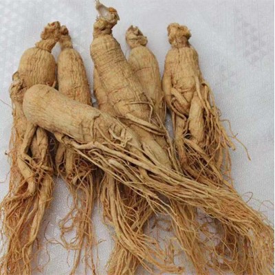 人参白参 生晒参一斤30支参 一件代发