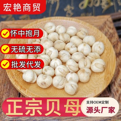 贝母250克川贝母干川贝粒滋补养生食品级长白山特产批发包邮直发