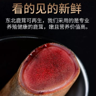 新鲜鹿茸100g含血鹿茸段片整根整支鹿茸煲汤泡酒药材吉林梅花鹿乡