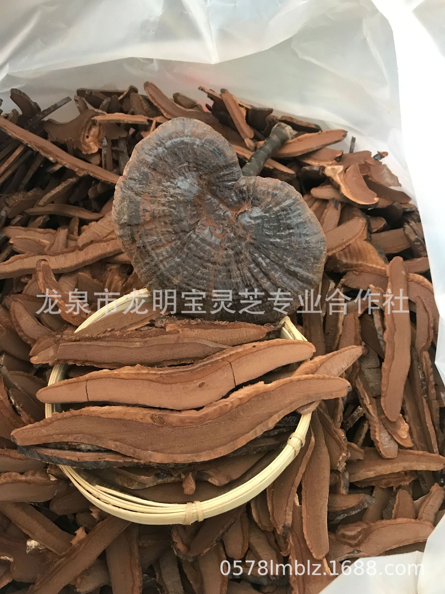 新建文件夹D431C543-EC8E-4CF5-A036-9