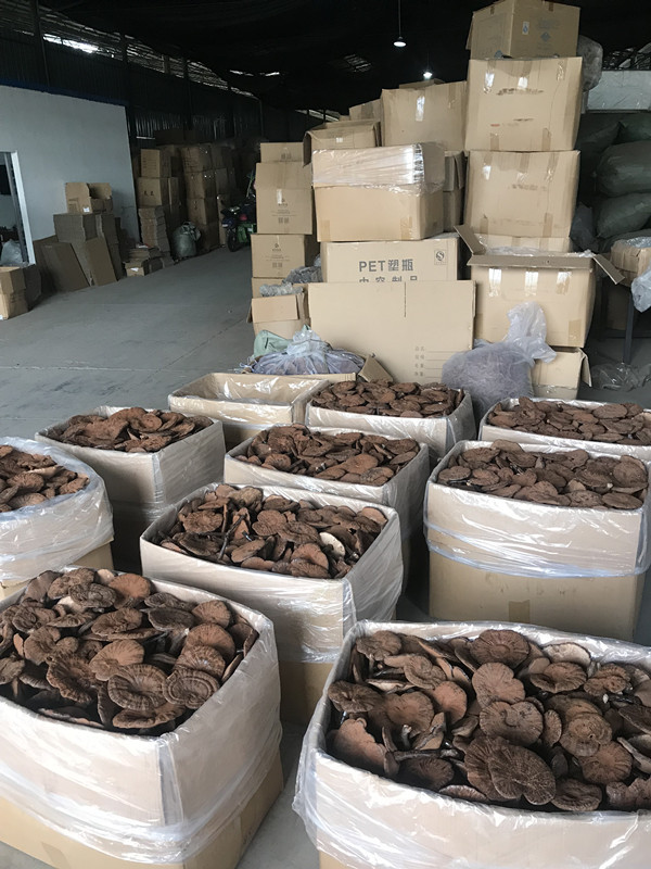 53F75338-84F2-4907-9327-42F1A8