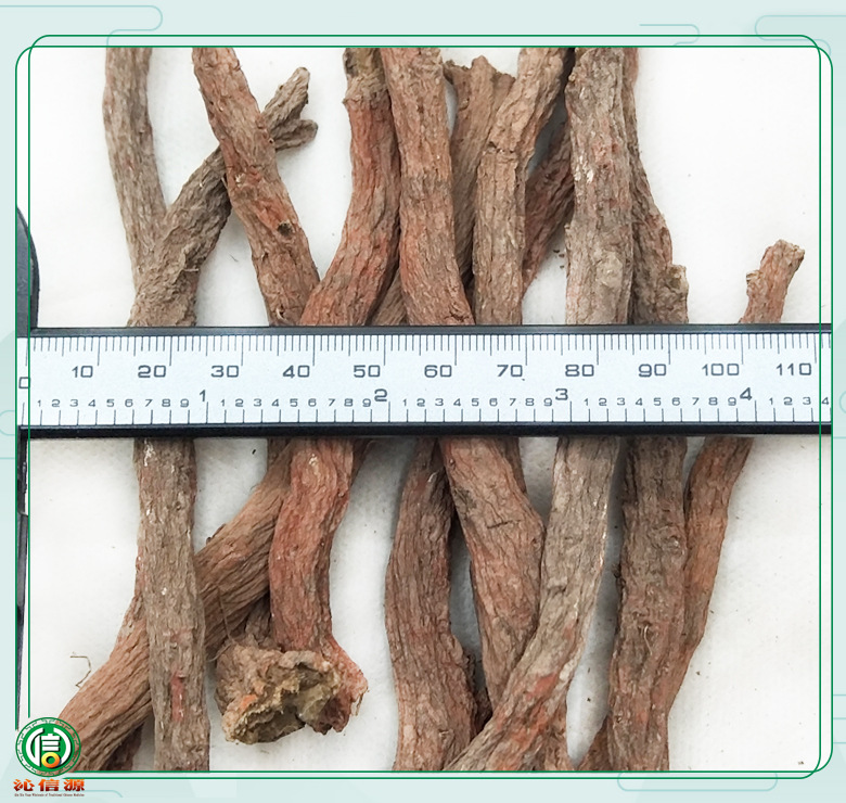 zhongjiangdashenyijitiao08