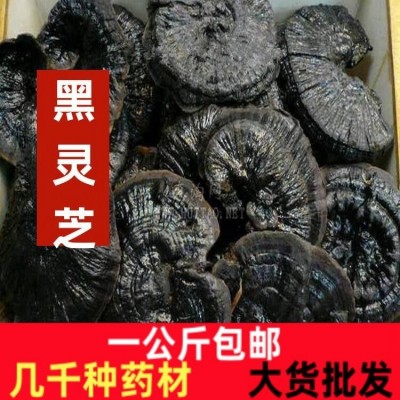 云南深山黑灵芝泡酒专用中药材正品黑芝整朵整枝一公斤包邮