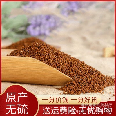 中药材菟丝子沙苑子 内蒙水洗菟丝子吐丝免洗干净无杂质 大货批发