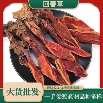 云南中药材回春草大货批发男性肾草顶天柱泡酒料不老草草苁蓉500