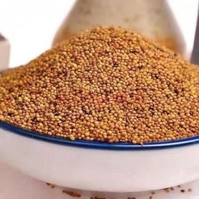 中药材批菟丝子兔丝子大菟丝子菟丝子茶正宗兔丝子正品量大价优