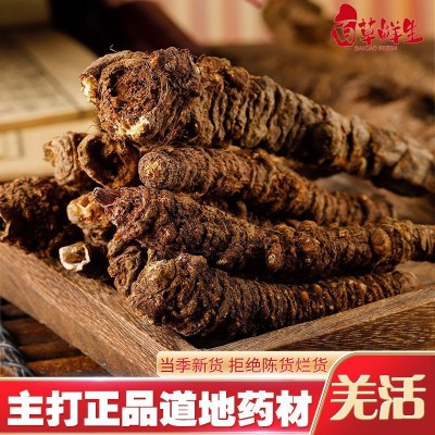 羌活中药材批发 蚕羌头 野生羌活头子正品阿坝州原产道地精品