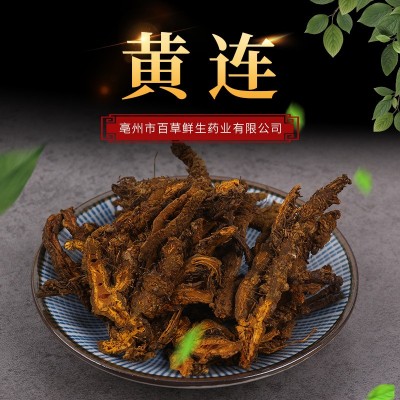 黄连中药材 鸡爪连 单只连 道地源头中药材一站式批发 干净无杂