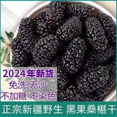 精选桑葚干一斤装批发干黑桑葚散装无沙食用桑葚干量大价优