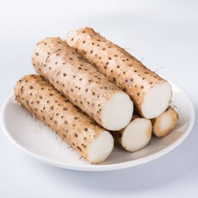 广山药厂家直发大量现货批发品质优秀无熏硫中药材