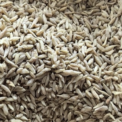 草本表冬根须批发 麦门冬 传统中药材 库存充足 保质保量