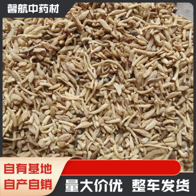 麦冬根须销售 无硫磺包含量 生津润燥 常绿草坪 质量保证 材质优选