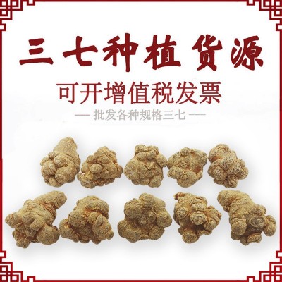 文山市南君七三七种植有限公司