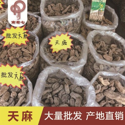 南君七天麻批发 云南昭通小草坝天麻湖北天麻片乌红天麻中药材