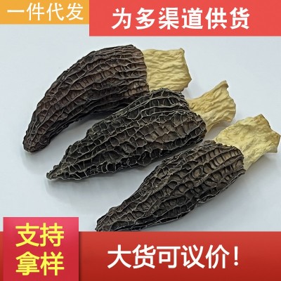 厚肉羊肚菌云南特产干货250克 2024新货大量批发 煲汤味鲜美