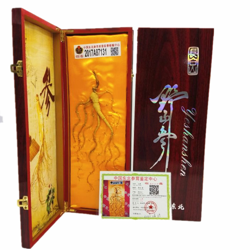 312D771C5C8782BD0BC38B94E80BD7