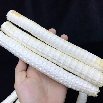 海味干货深海鲨鱼骨淡晒龙骨海鱼骨煲汤滋补货源散装批发一件代发