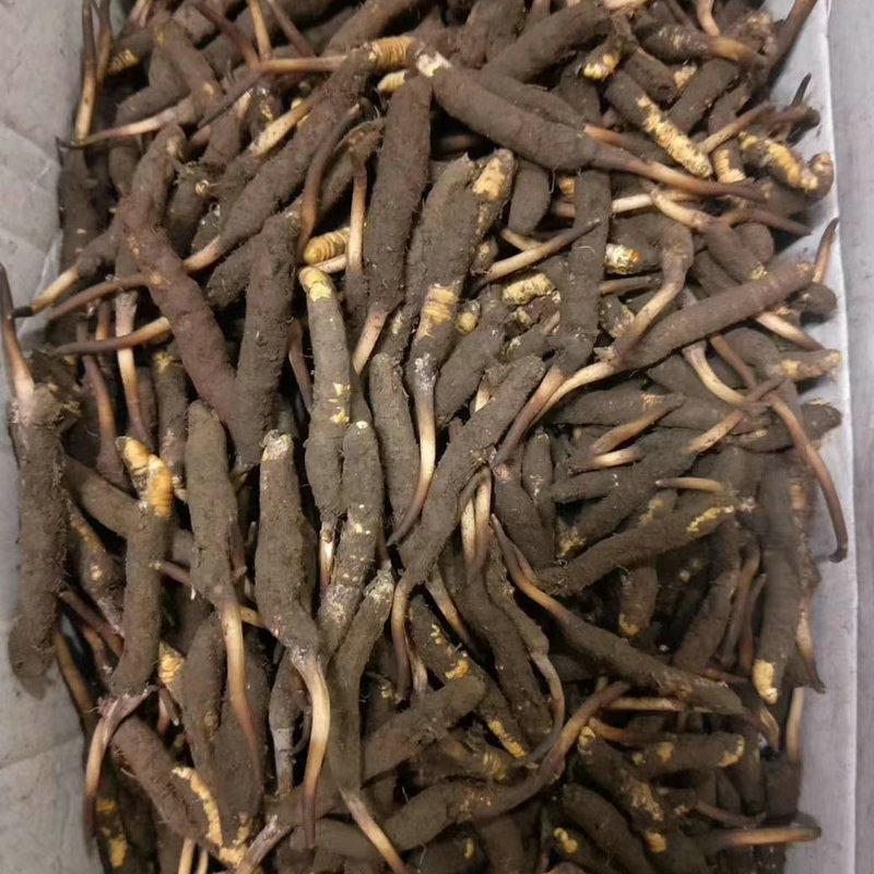 bd314536-6516-4891-9161-2b76c0