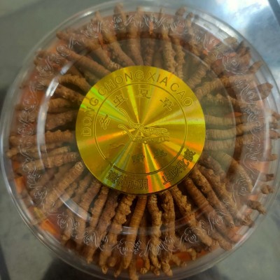 西藏那曲冬虫夏草晒干 西藏那曲高海拔虫草 2根1克大草源头直采