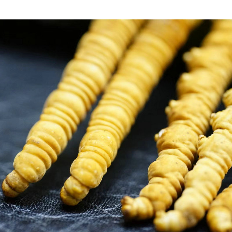 8d1511d4-7a21-4cbb-9a55-439951