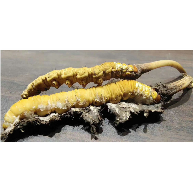 74b22f0b-3e1f-4161-a8a8-d30332