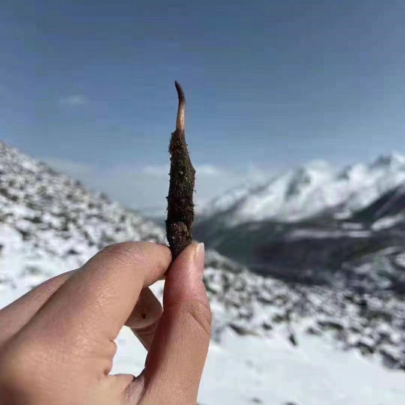 b8dd0a8a-10ad-43d8-9273-b58790