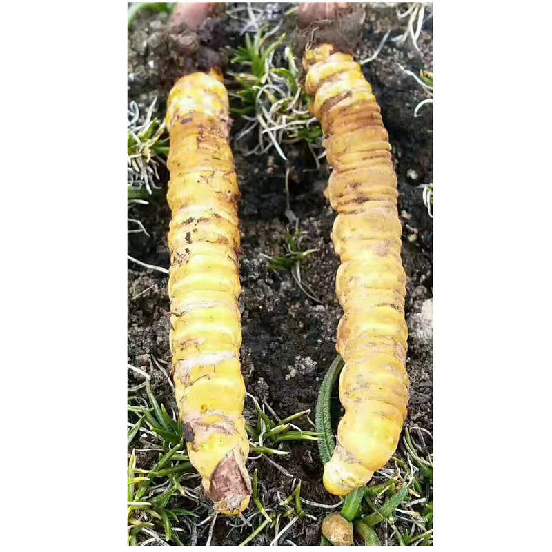 a5297c15-06a5-4a3a-a19c-1e6ce6