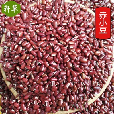 中药材供应长粒赤小豆赤小豆