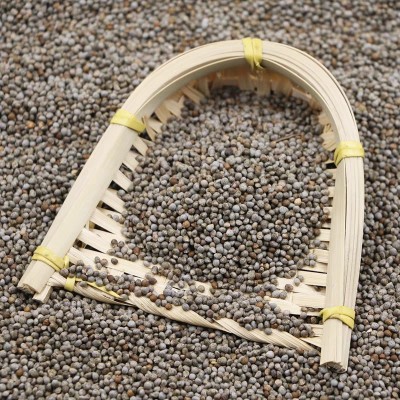 酥麻新货贵州苏麻农家油性酥麻子 炒熟紫苏籽紫苏子 酥麻子 荏麻