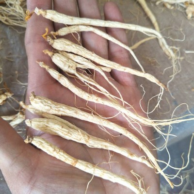 长白山小人参 整根原皮生晒参 香皂精华液干参化妆品干参花茶食品
