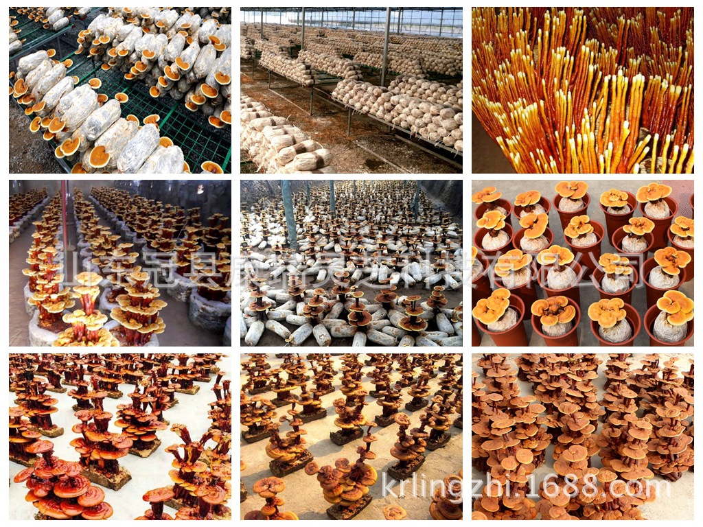 光影魔术手拼图