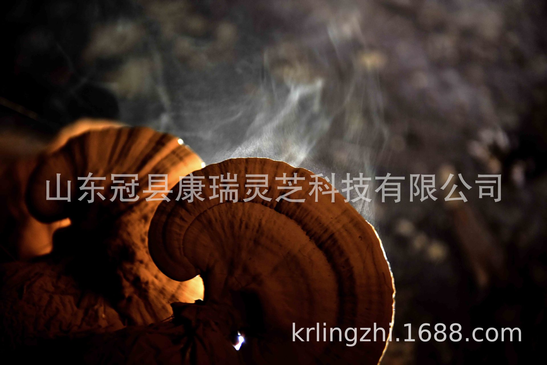 mmexport1560384969329