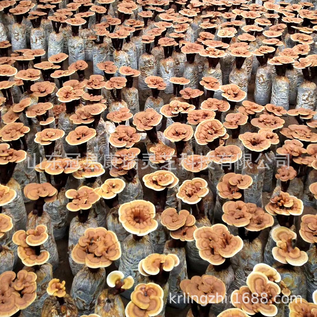 mmexport1560384972128