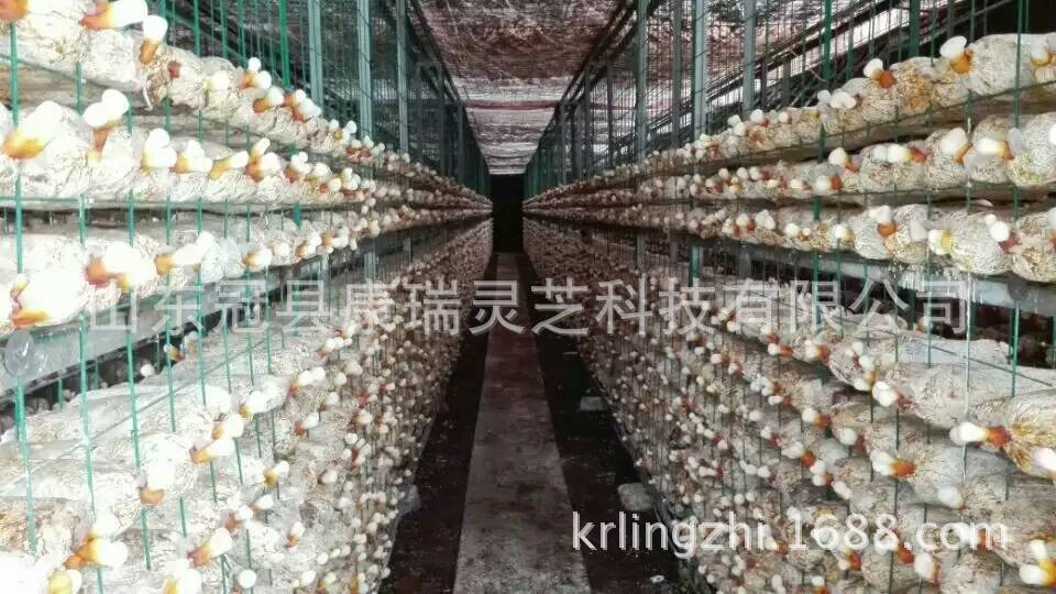 mmexport1437555110692