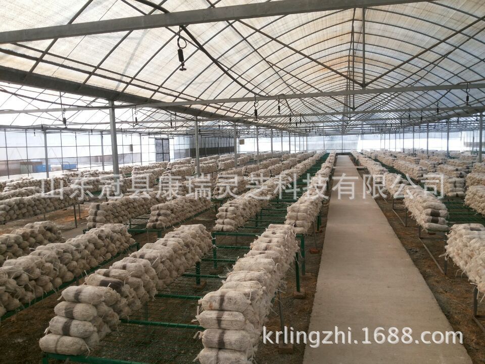 TB21v9RcFXXXXbXXXXXXXXXXXXX-64