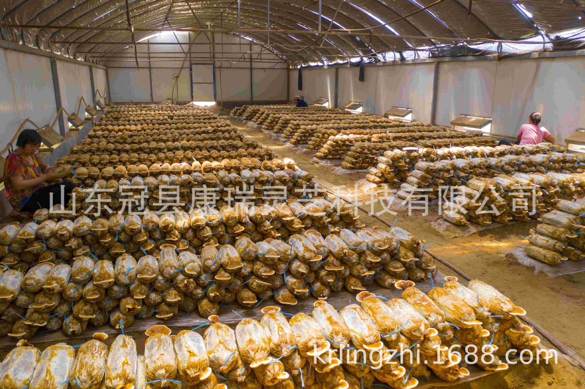 TB2FQMPa4f9F1JjSZFDXXXyUpXa_!!