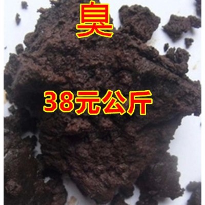 新疆臭阿魏 钓鱼阿魏 钓鱼饵料 钓鱼料